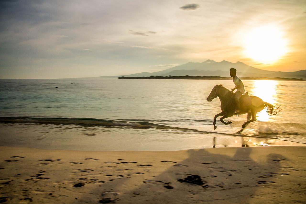 Villa Pulau Cinta Boutique Suites Gili Meno Zewnętrze zdjęcie